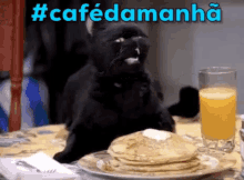 Café Da Manhã  / Fome / Esfomeado / Salem / Sabrina / Gato GIF - Salem Cat Hungry GIFs