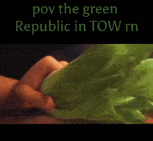a person holding a bunch of lettuce with the words pov the green republic in tow rn above it