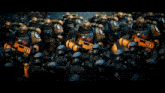GIF