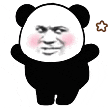 biaoqing panda
