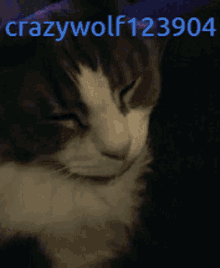 Crazywolf123904 Area Ix GIF