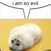 a seal with red eyes is laying on a yellow surface next to a speech bubble that says i am so evil