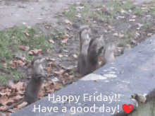 Morning Otters GIF - Morning Otters GIFs