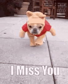 I Miss You Dog GIF - I Miss You Dog GIFs