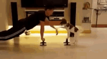 Copy Puppy GIF - Exercise Work Out Puppy GIFs
