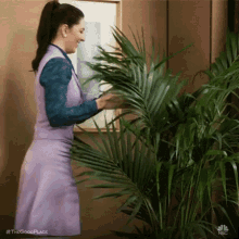 Plants Playing GIF - Plants Playing Excited GIFs