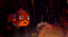 Finding Nemo Huh GIF - Finding Nemo Huh What GIFs