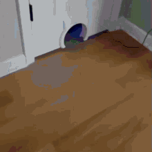 a door with a hole in it that looks like a cat tunnel
