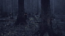 a dark forest with trees and leaves and a person with glowing eyes