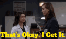 Greys Anatomy Kai Bartley GIF - Greys Anatomy Kai Bartley Thats Okay I Get It GIFs
