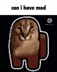 give me mod cat