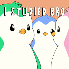 three penguins are standing next to each other with the words i studied bro written above them