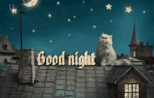 Good Night Cat GIF - Good Night Cat Roof GIFs