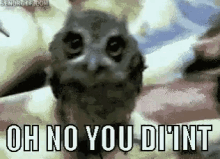 Nope Oh No You Didnt GIF - Nope Oh No You Didnt Owl GIFs