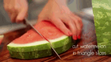 Summer Watermelon Idea GIF