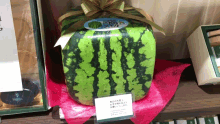 Japenesewatermelon Luxuryfruit GIF - Japenesewatermelon Luxuryfruit Japenese Luxury Fruit GIFs