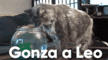 Gonza Y Leo Pld GIF - Gonza Y Leo Pld Gonzaaleo GIFs