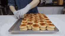 a tray of biscuits with the words made in animatica at the bottom