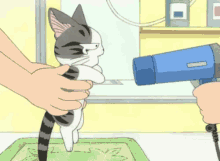 Chi Cat GIF - Chi Cat Anime GIFs
