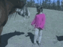 a young girl in a pink sweater is standing next to a horse .