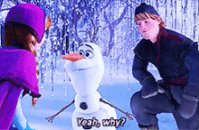 Olaf Frozen GIF - Olaf Frozen Why GIFs