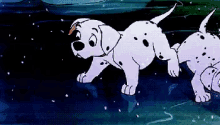 Dalmations On Ice GIF