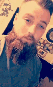 Cubby Bearded GIF - Cubby Bearded Singing GIFs