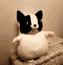 Plush Funny GIF - Plush Funny Dog GIFs