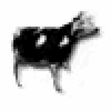 Vaca Cow GIF - Vaca Cow GIFs