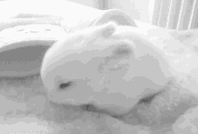 Cute Bunny GIF - Cute Bunny Time To Sleep GIFs