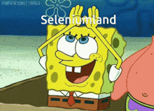 Seleniumland Spongebob GIF - Seleniumland Selenium Spongebob GIFs