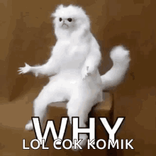 Why But Why GIF - Why But Why White Monkey GIFs
