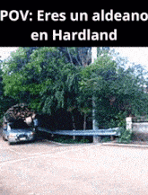 Hardland Wolfito GIF - Hardland Wolfito GIFs