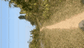 a dirt path going through a grassy field with trees on both sides