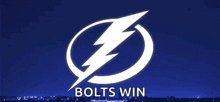 Tampa Bay Lightning Go Bolts GIF - Tampa Bay Lightning Go Bolts Lets Go Bolts GIFs