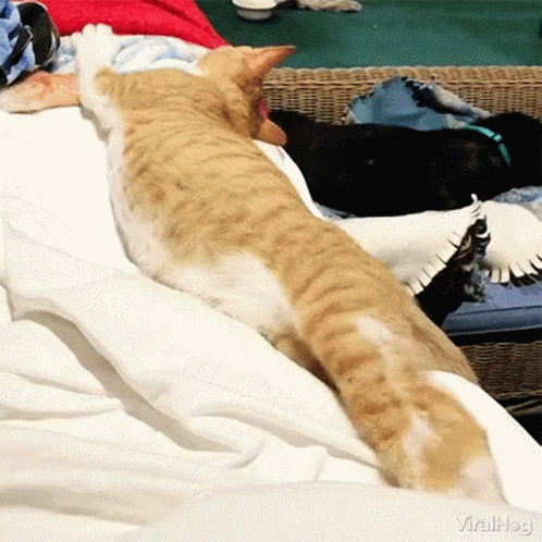 falling.gif