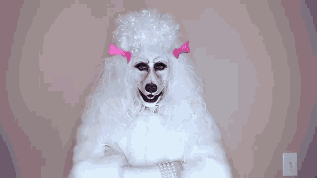 Scary poodle sales