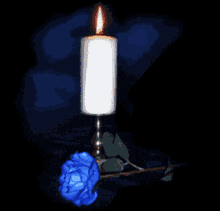 Candle Blue Rose GIF