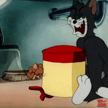 a cartoon of tom and jerry sitting next to jerry