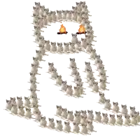 a bunch of cats are arranged in the shape of an owl with a campfire in the background