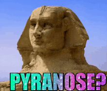 Pyranose Sphinx GIF - Pyranose Sphinx Nose GIFs