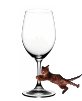 Flying Cat Wine Glass Sticker - Flying Cat Wine Glass Stickers