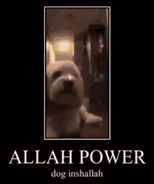 Allah Power Allah GIF - Allah Power Allah Inshallah GIFs