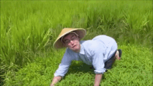 Filthy Frank Rice Fields GIF