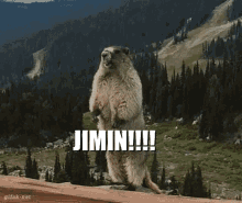 Pjm Scream Screaming Animal GIF - Pjm Scream Screaming Animal Animal Screaming GIFs