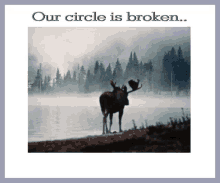 Broken Circle GIF - Broken Circle GIFs