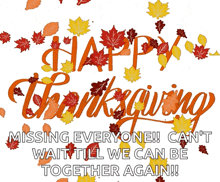 Happythanksgiving Thanksgiving GIF - Happythanksgiving Thanksgiving Turkey GIFs