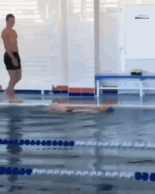 Salute Swimming Pool GIF - Salute Swimming Pool Swimming GIFs