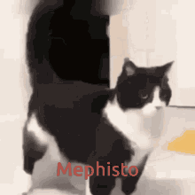 Mephisto Mysko GIF
