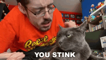 you stink ricky berwick cat pet you smell bad